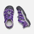 KEEN Newport H2 Jr tiilandsia purple/english lavender