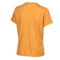 Inov-8 GRAPHIC TEE &quot;SKIDDAW&quot; W yellow