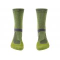 Bridgedale MTB MSW T2 MS BOOT green