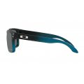 Oakley Holbrook matte black/prizm black (91029102Y255)