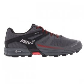 Inov-8 ROCLITE 315 GTX v2 M grey/black/red